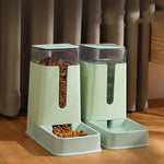 Automatic Double Pet Bowl with Feeder and Water Dispenser