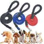 Dogs Leash Running Elasticity Hand Freely