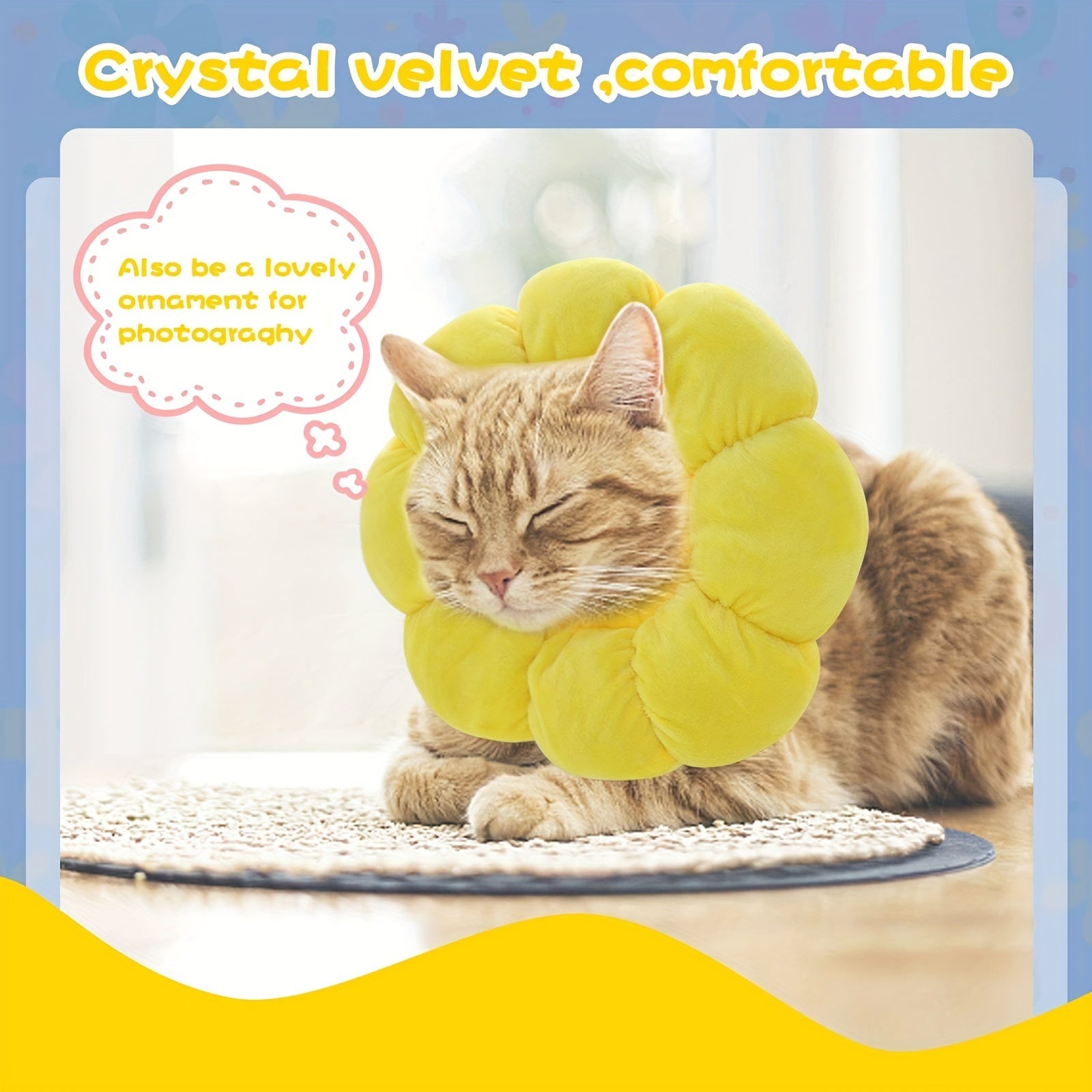 Comfortable After Surgery Recovery Collar for Cats and Dogs.