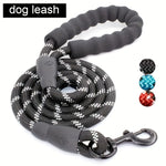 Dogs Leash Running Elasticity Hand Freely